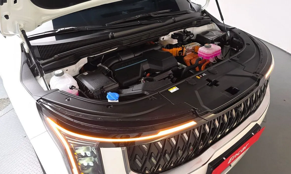 Kia Carnival — фото 10