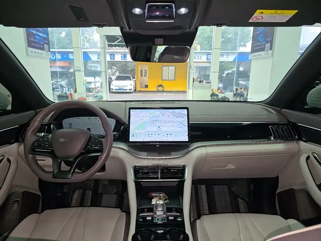 BYD PLUS New Energy — фото 10