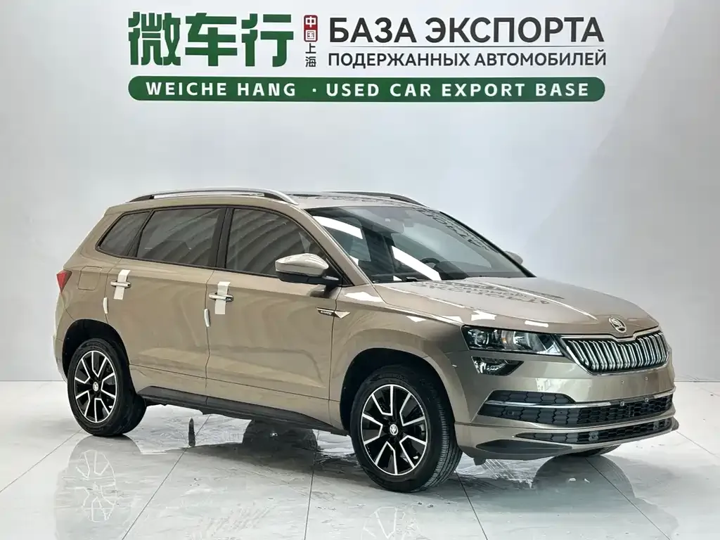 Skoda Karoq — фото 8