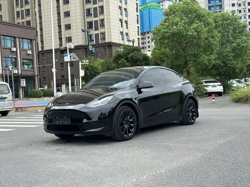 Tesla Model Y — фото 1