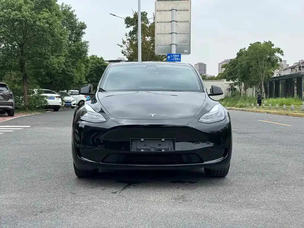 Tesla Model Y — фото 10