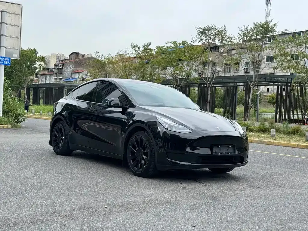 Tesla Model Y — фото 8