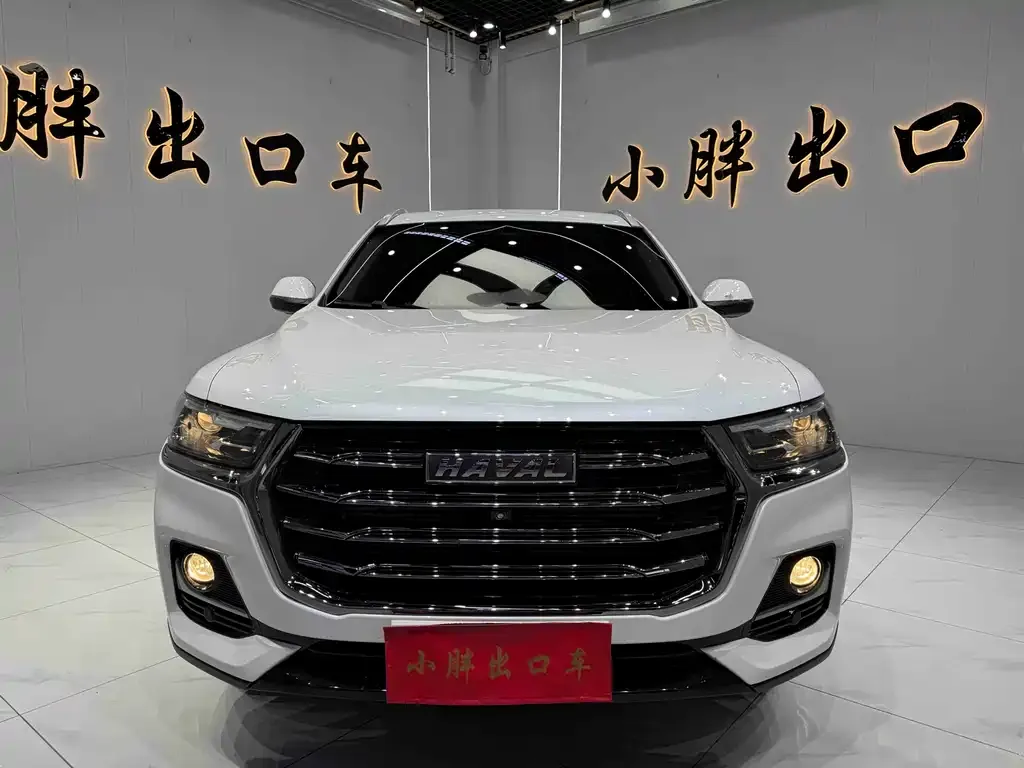 Haval H6 — фото 9