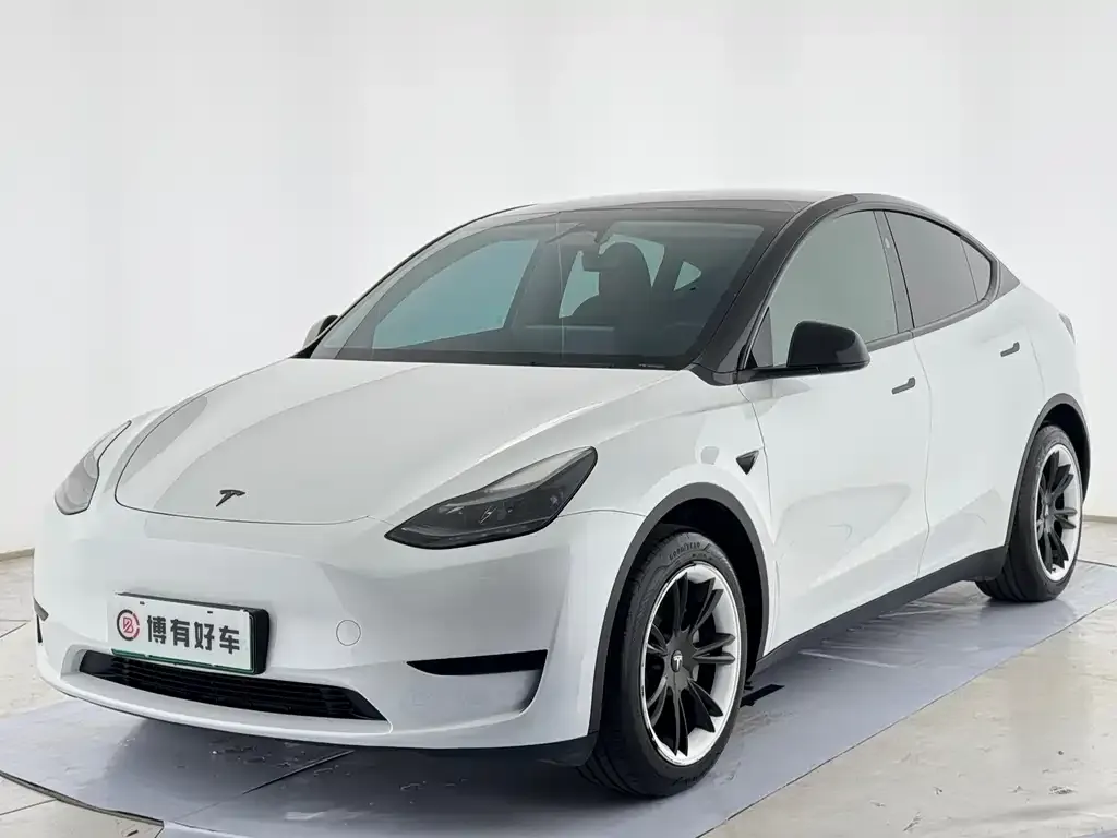 Tesla Model Y — фото 1