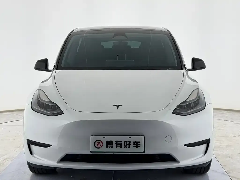 Tesla Model Y — фото 2