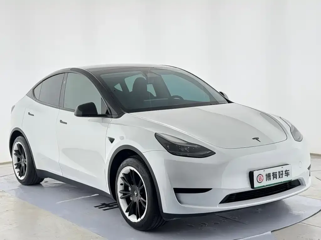 Tesla Model Y — фото 5