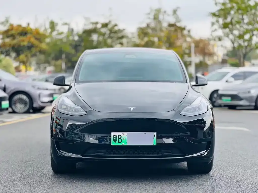 Tesla Model Y — фото 5