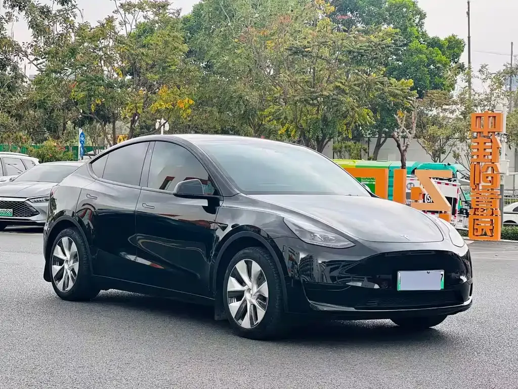 Tesla Model Y — фото 9