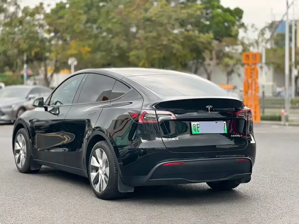 Tesla Model Y — фото 6