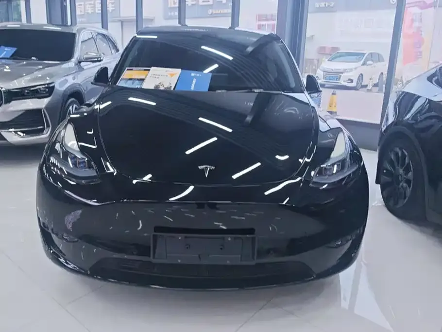 Tesla Model Y — фото 2