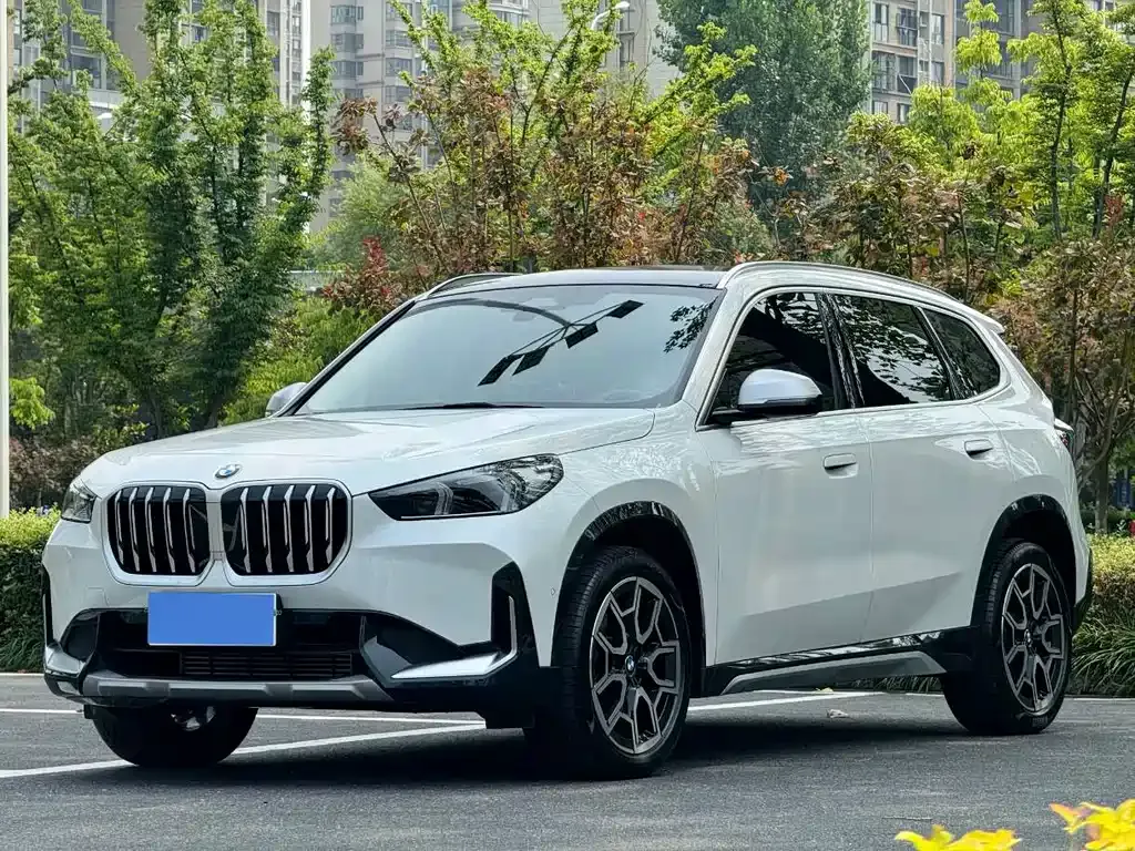 BMW X1 — фото 1