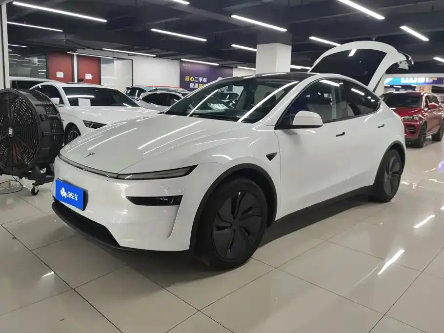 Tesla Model Y — фото 1