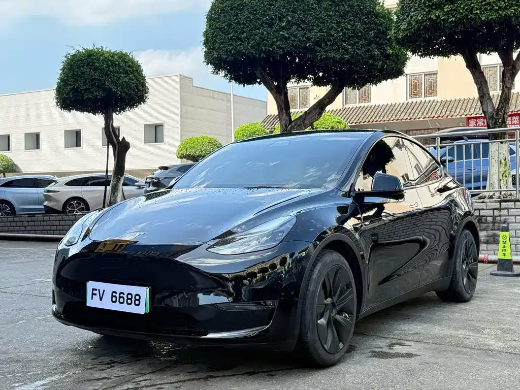 Tesla Model Y — фото 1