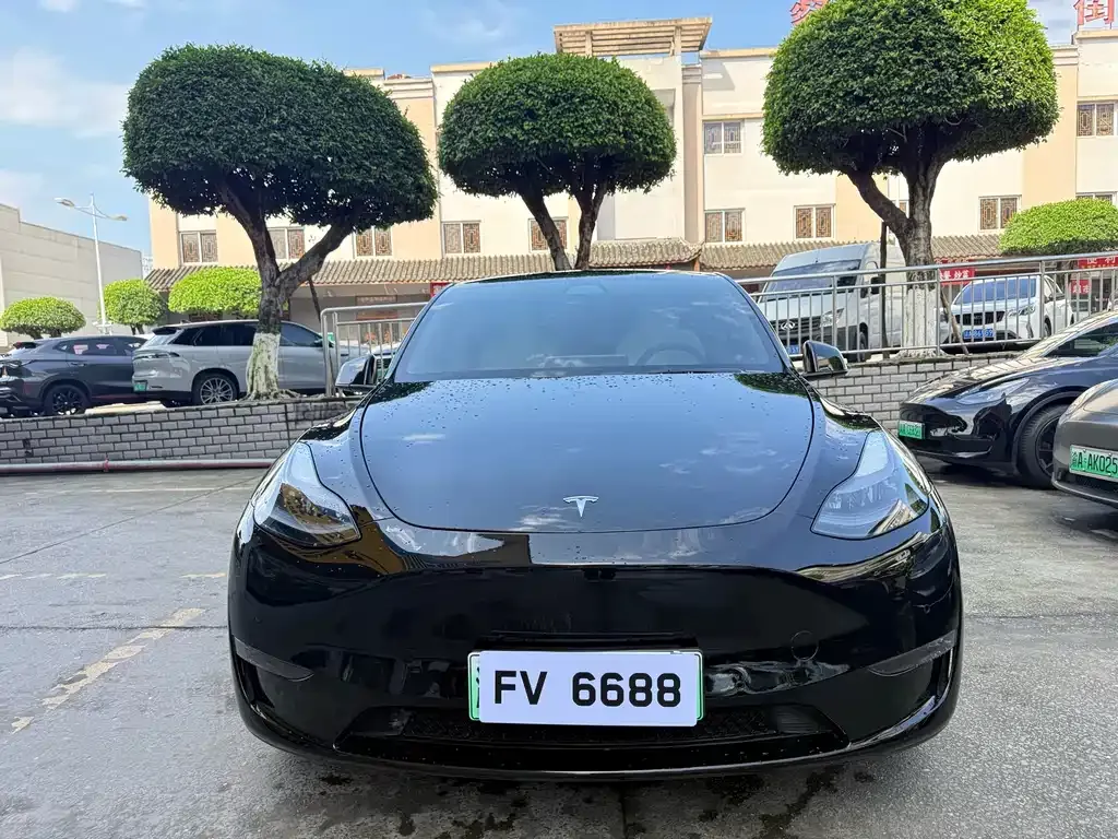 Tesla Model Y — фото 8