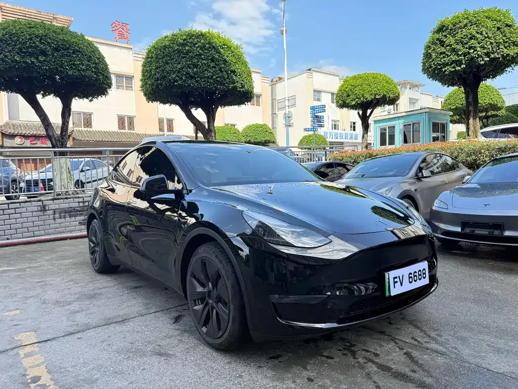 Tesla Model Y — фото 7