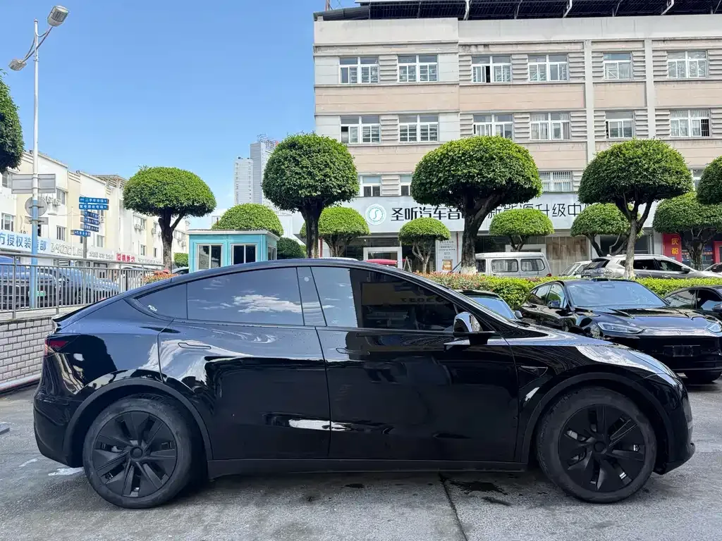Tesla Model Y — фото 9