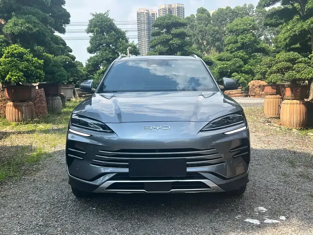 BYD PLUS New Energy — фото 10