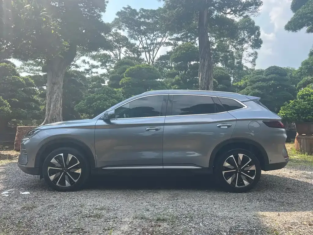 BYD PLUS New Energy — фото 8