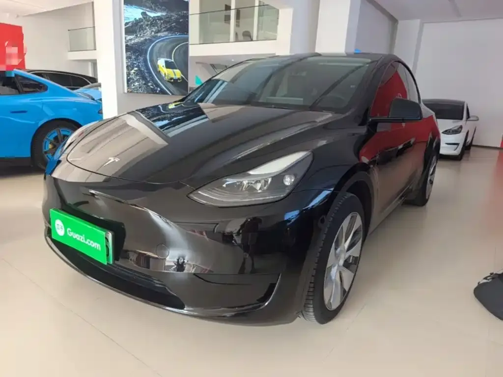 Tesla Model Y — фото 2