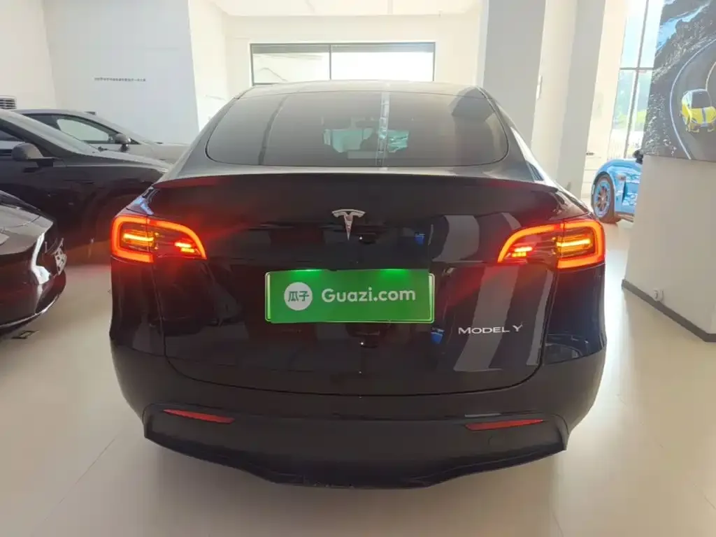 Tesla Model Y — фото 10