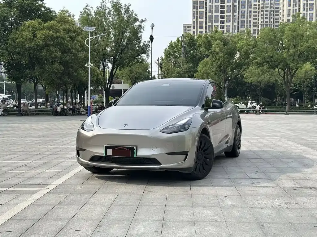 Tesla Model Y — фото 1