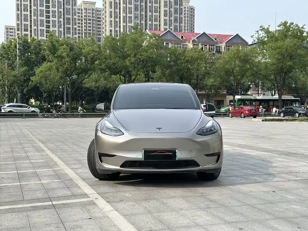 Tesla Model Y — фото 8