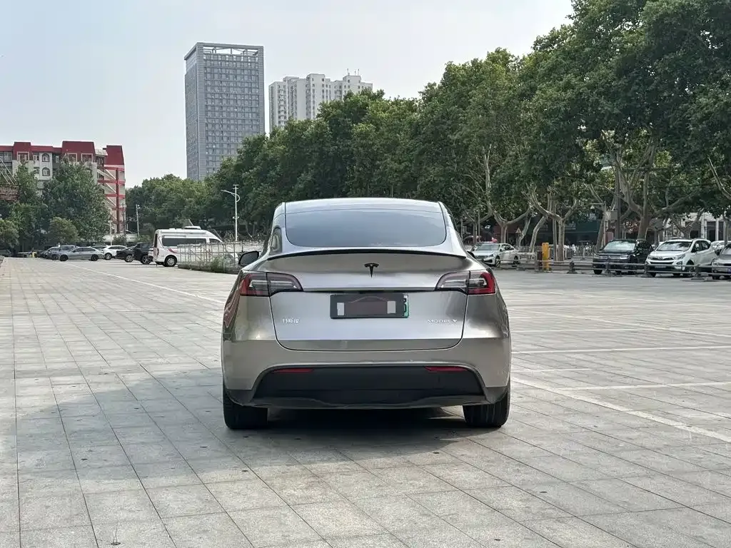 Tesla Model Y — фото 2