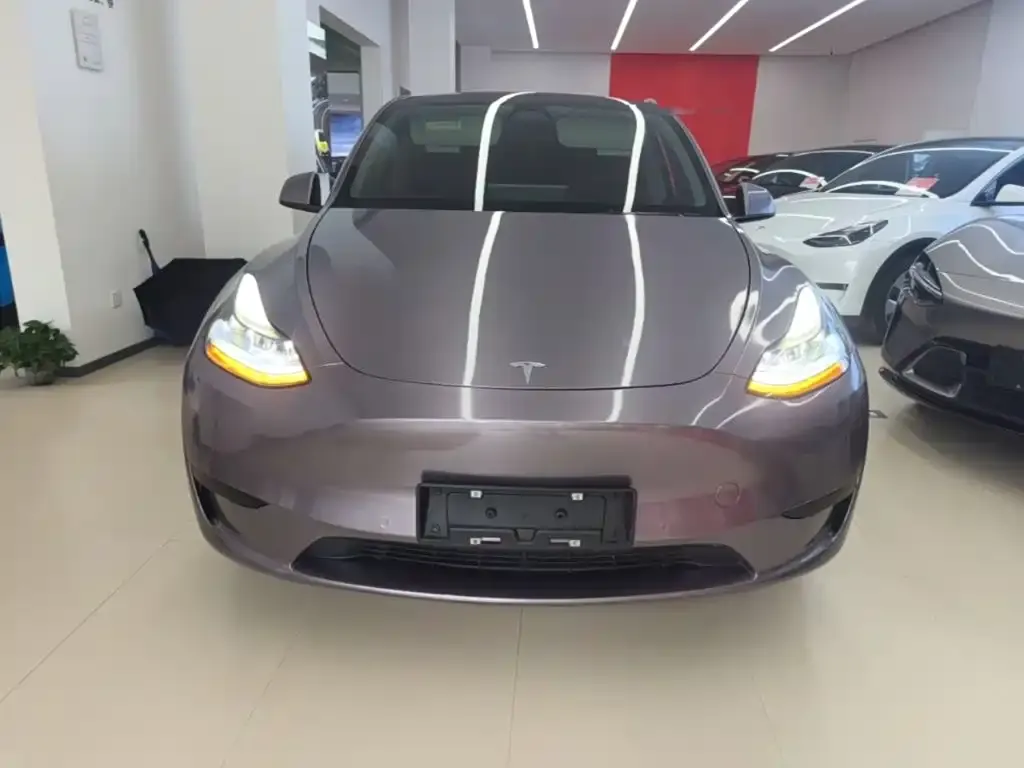Tesla Model Y — фото 6