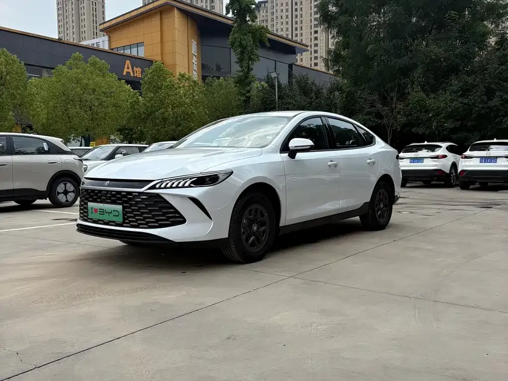 BYD Qin PLUS — фото 1