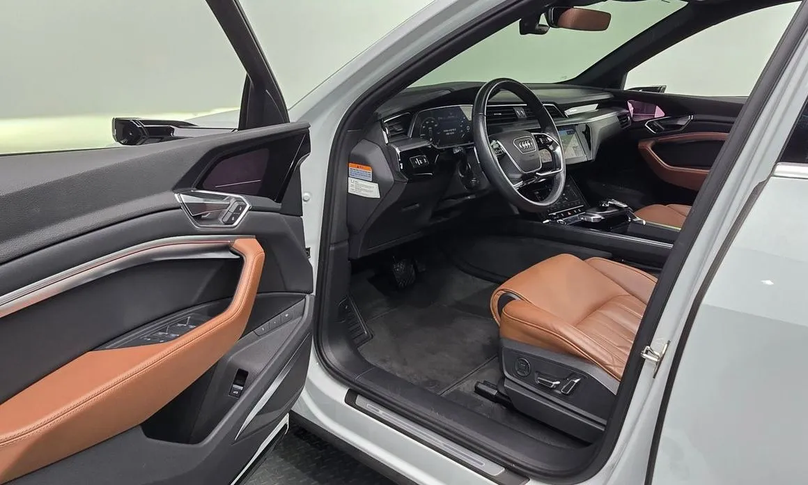 Audi e-tron 2022 из KR, фото 9