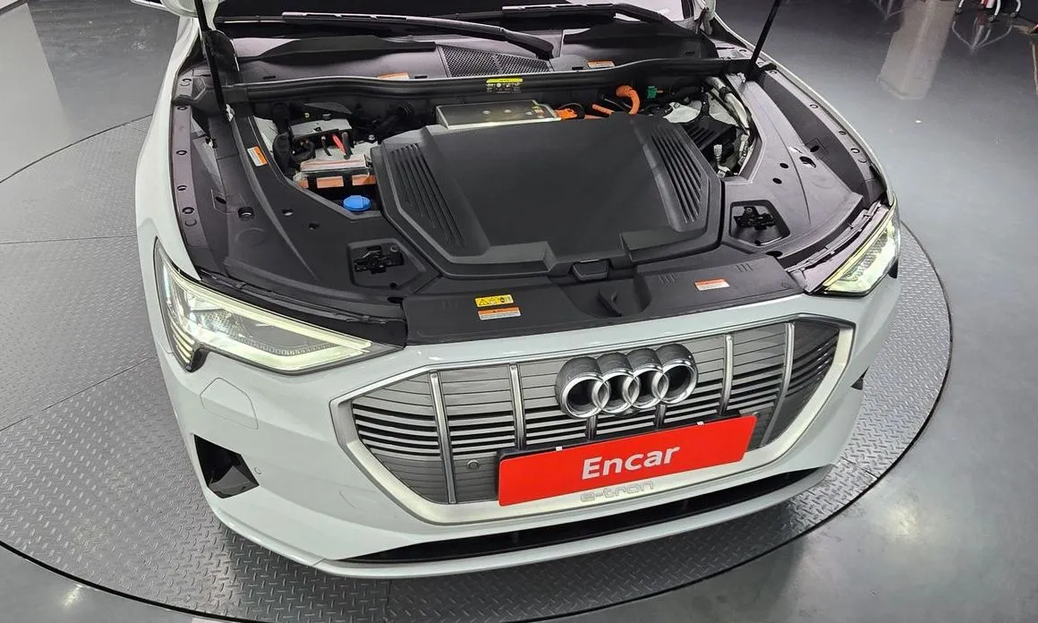 Audi e-tron 2022 из KR, фото 10