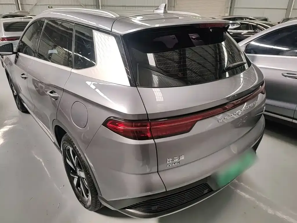 BYD Pro New Energy — фото 4