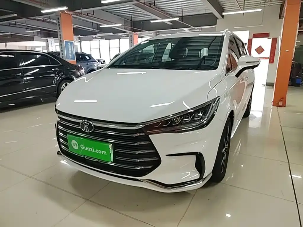 BYD MAX New Energy 2023 из CN, фото 8