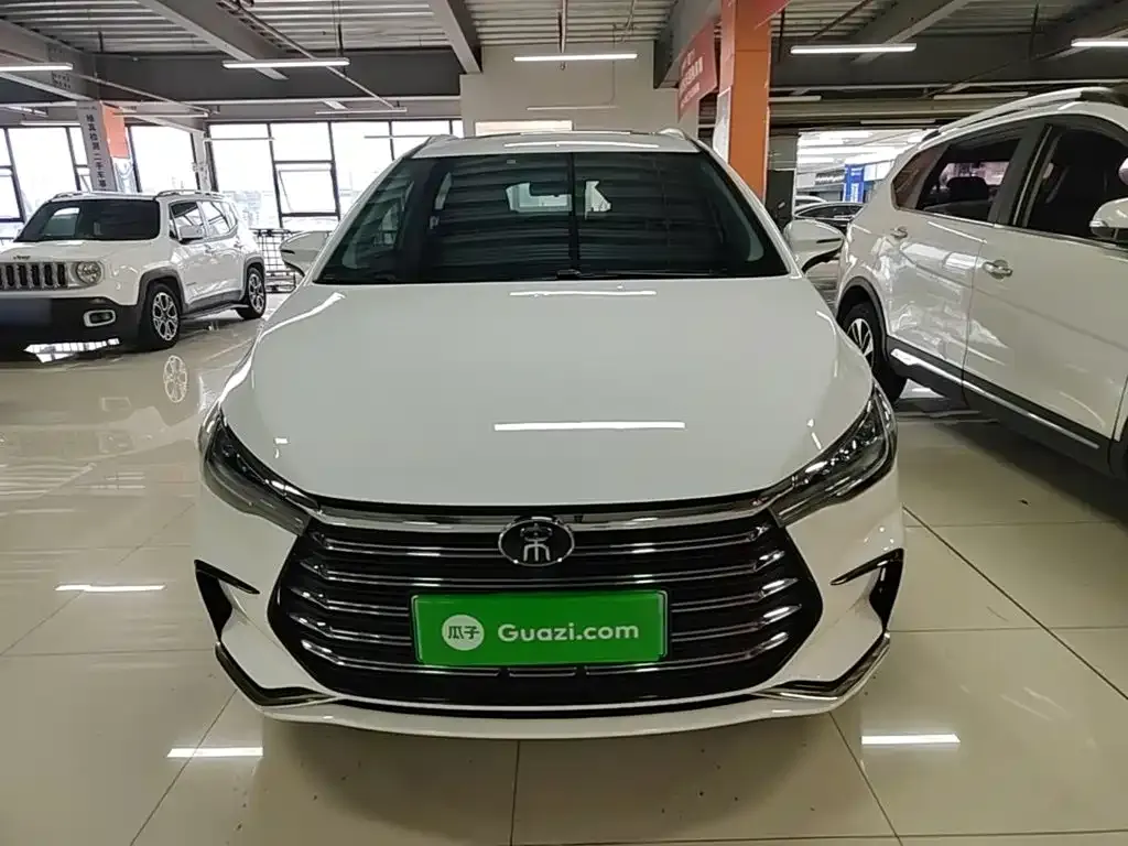BYD MAX New Energy 2023 из CN, фото 7