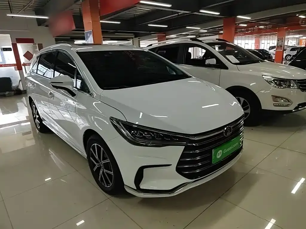 BYD MAX New Energy 2023 из CN, фото 3