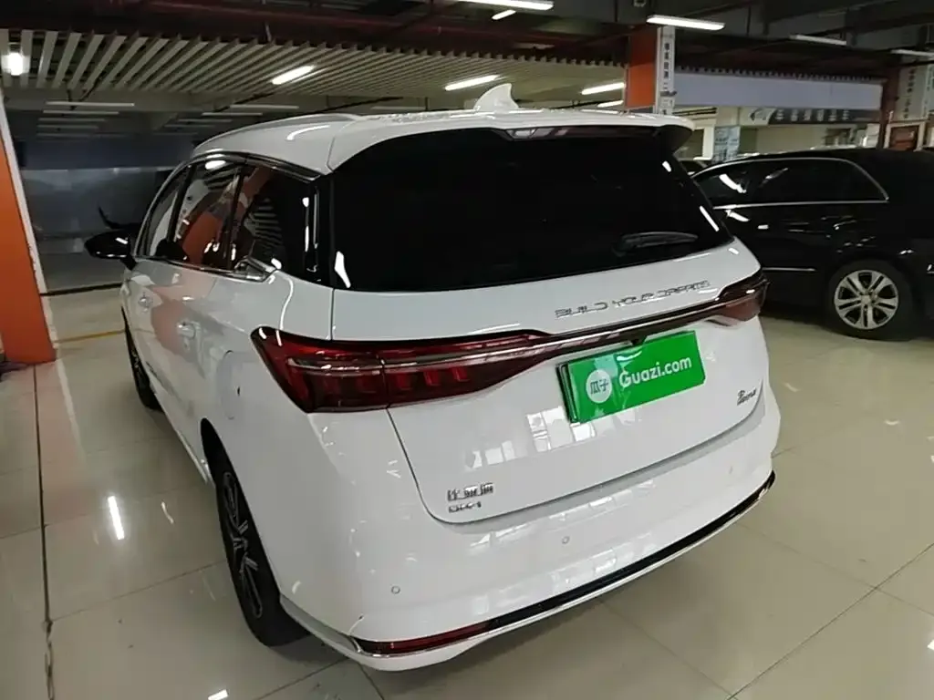 BYD MAX New Energy 2023 из CN, фото 6