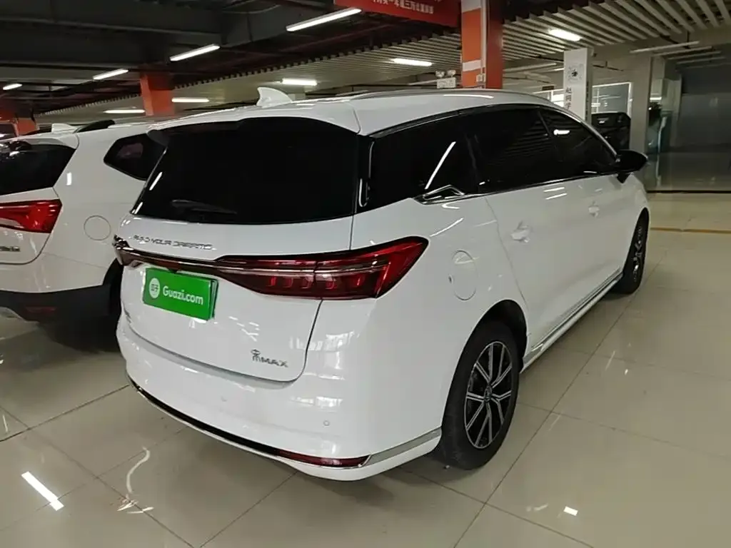 BYD MAX New Energy 2023 из CN, фото 5