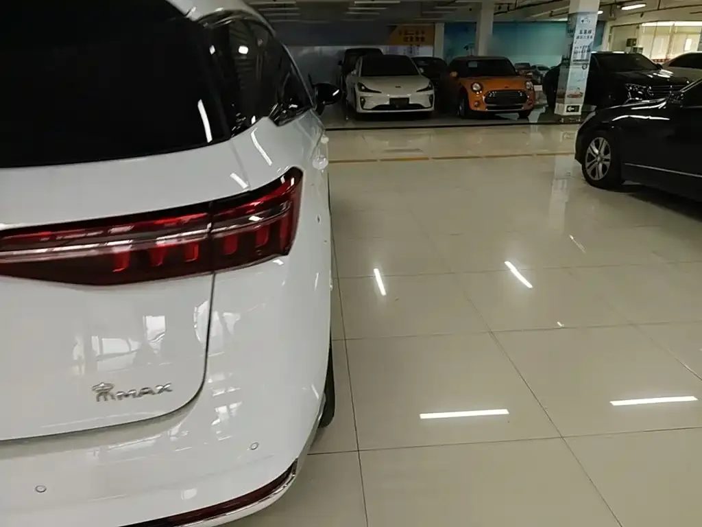 BYD MAX New Energy 2023 из CN, фото 2