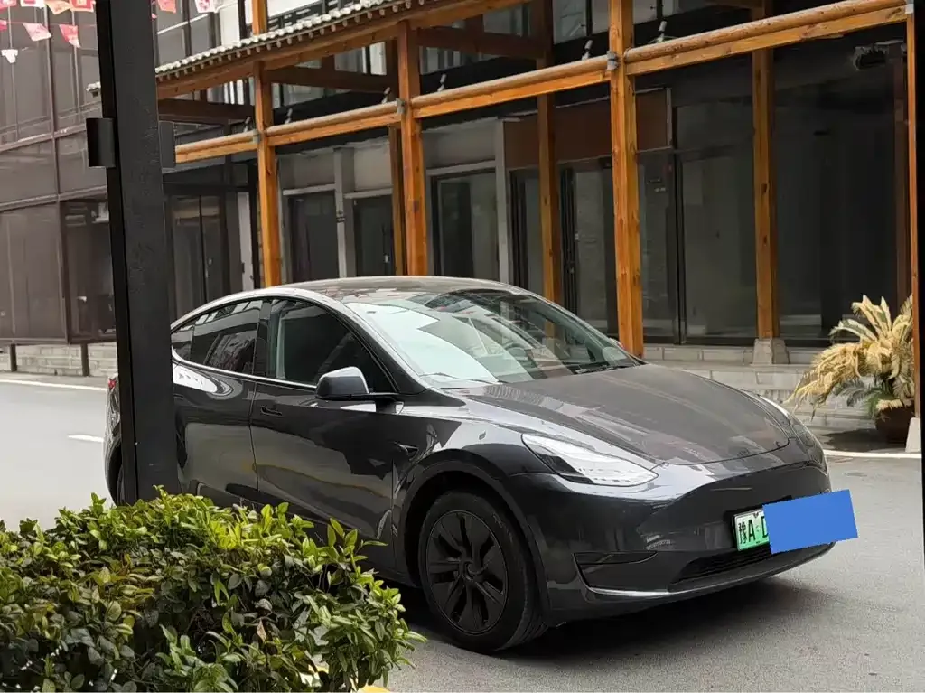 Tesla Model Y — фото 7