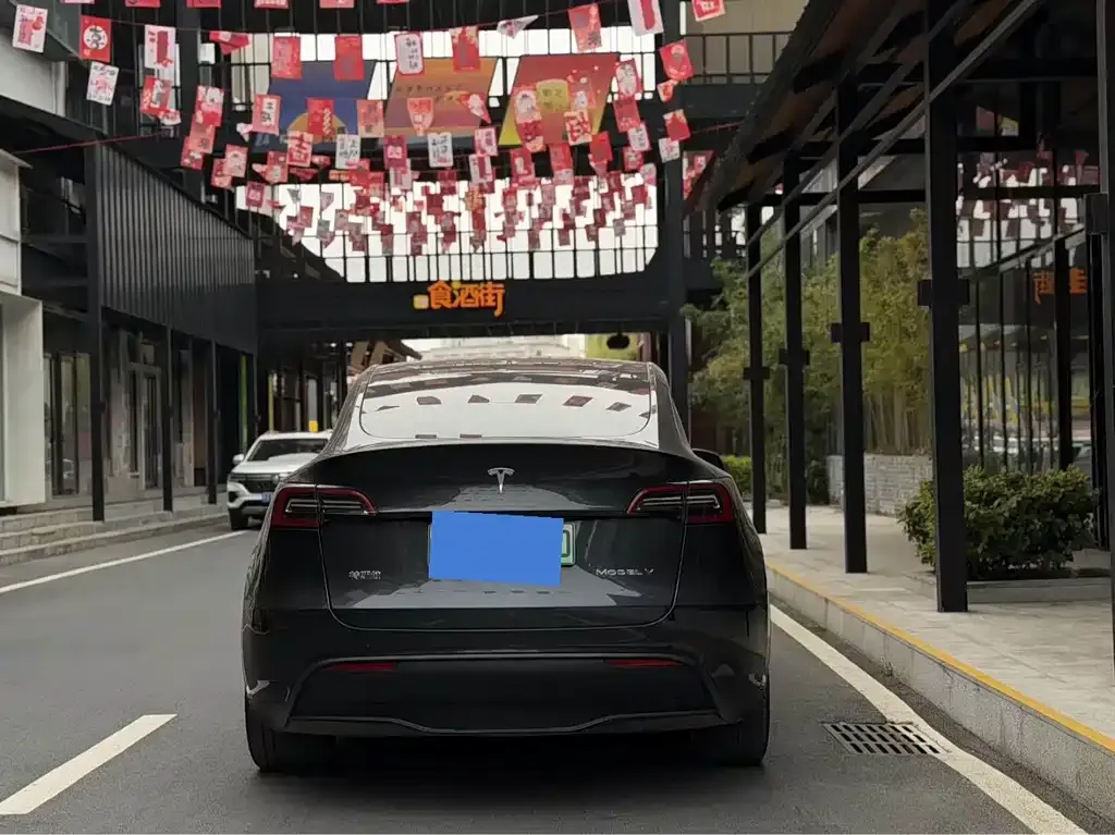 Tesla Model Y — фото 3
