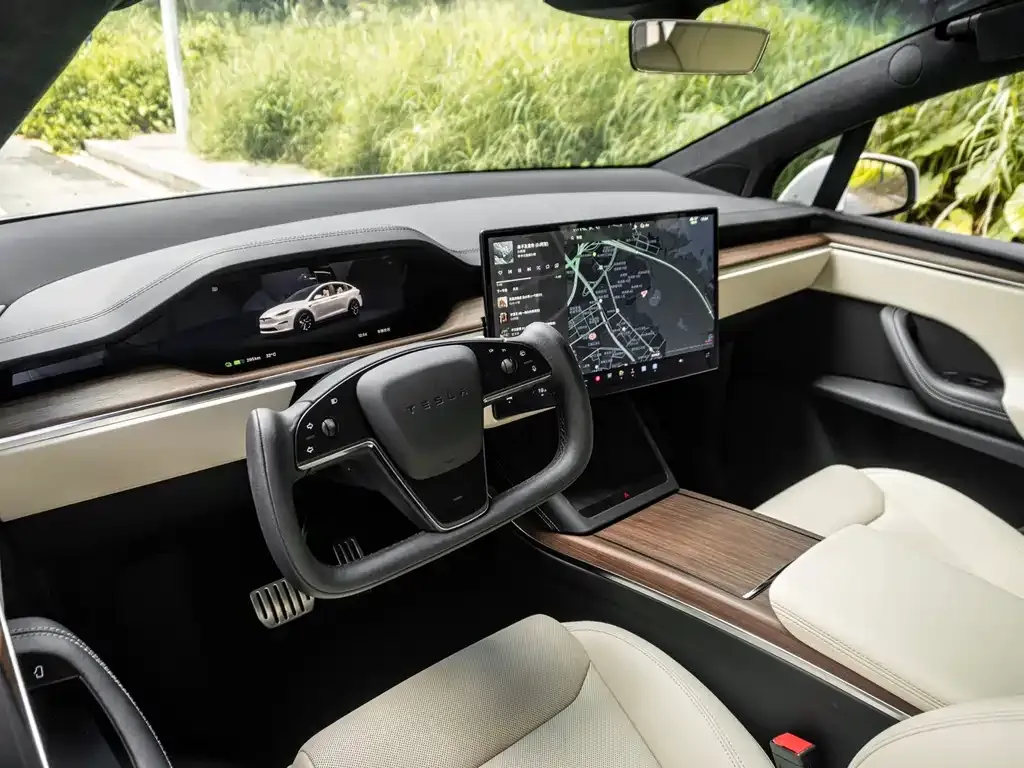 Tesla Model X — фото 6