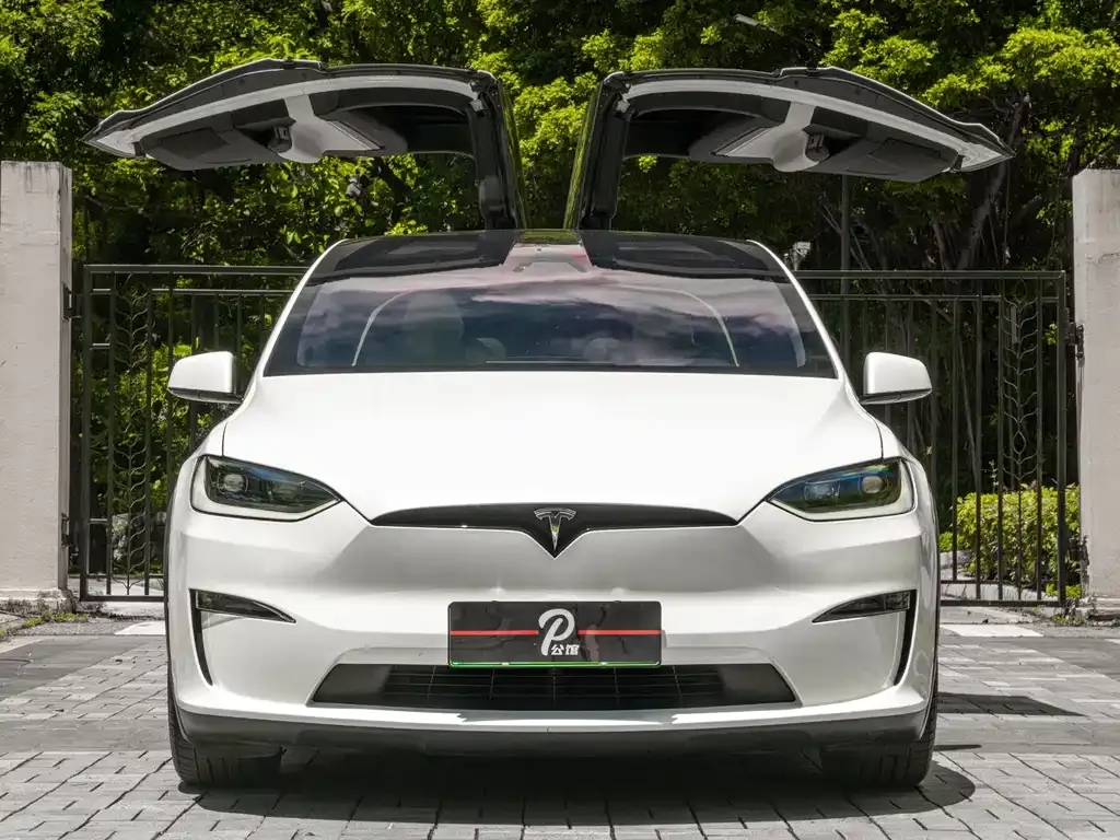 Tesla Model X — фото 3