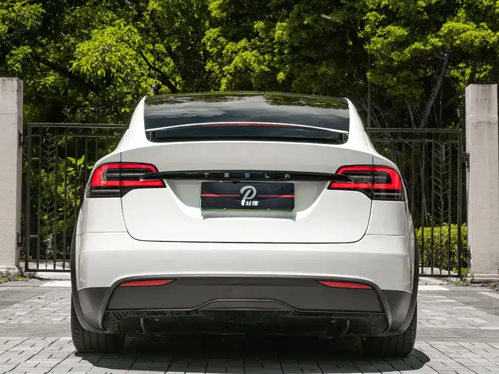 Tesla Model X — фото 8