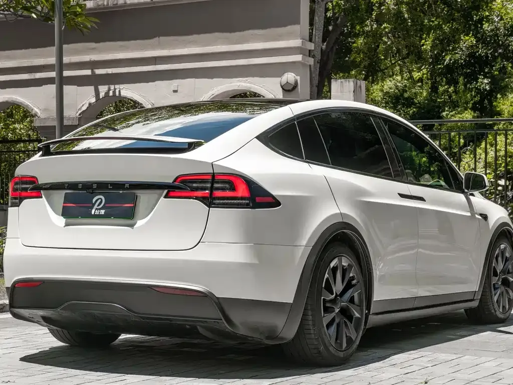 Tesla Model X — фото 10