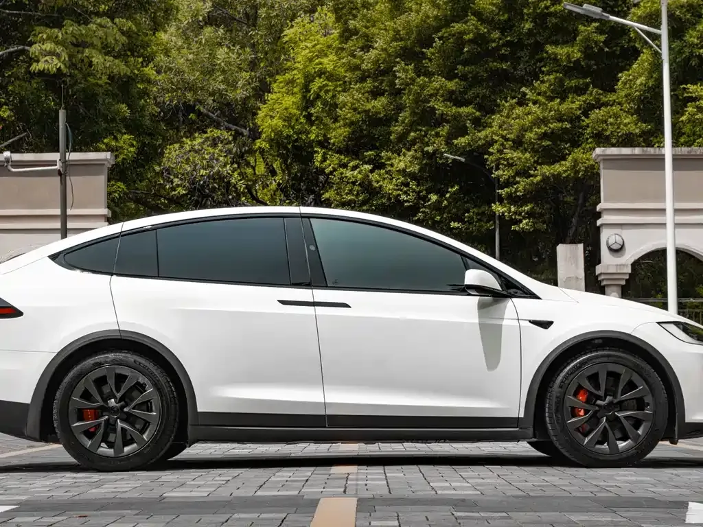 Tesla Model X — фото 4