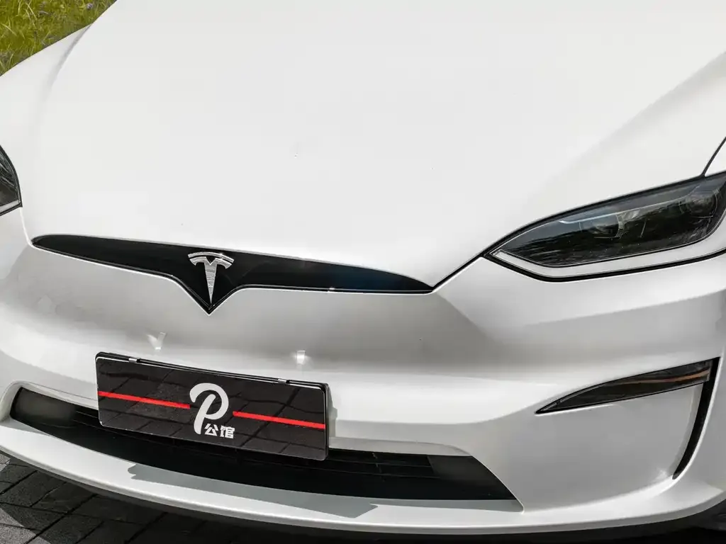Tesla Model X — фото 2