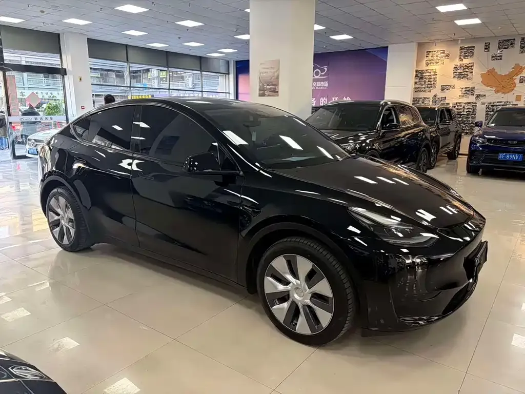 Tesla Model Y — фото 10