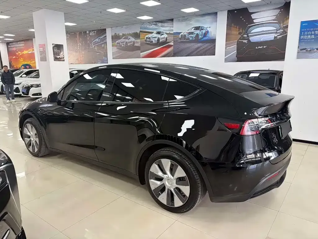Tesla Model Y — фото 3