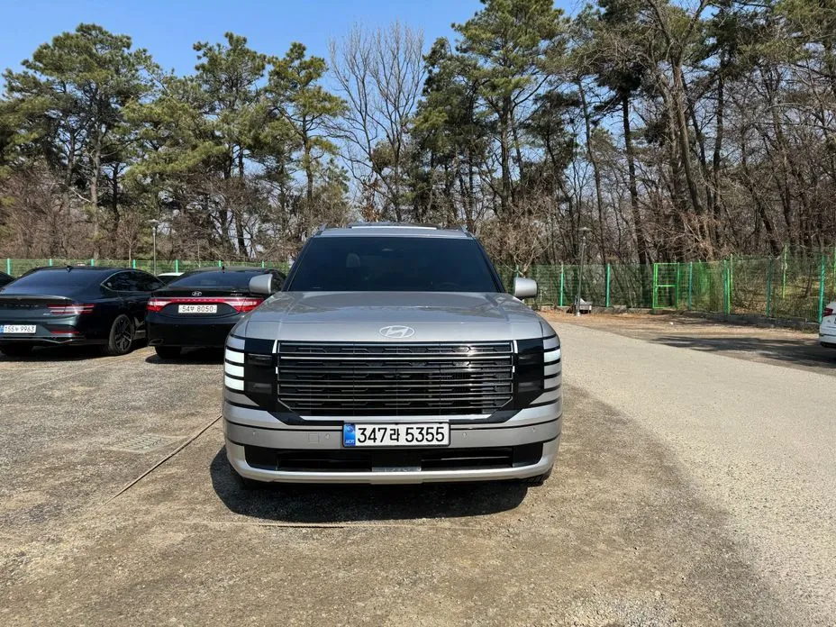 Hyundai Palisade — фото 10