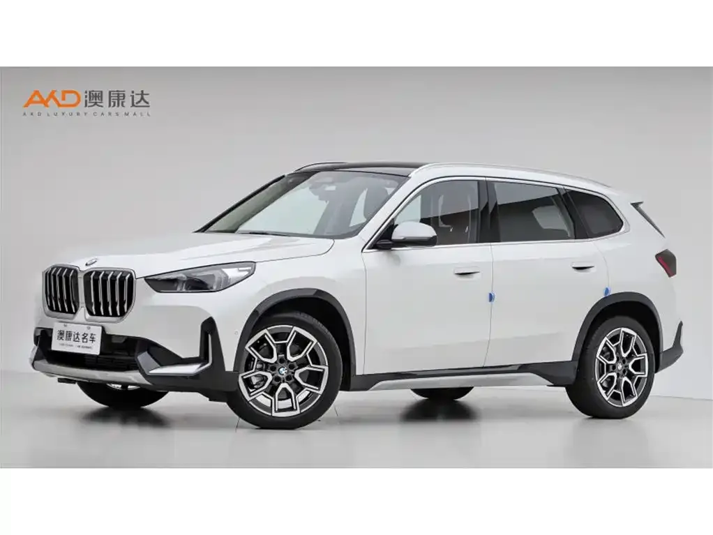 BMW X1 — фото 1